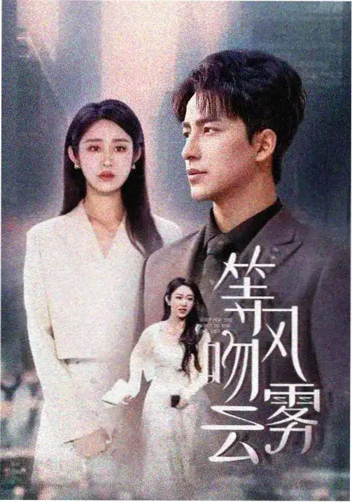 迷雾之塔-电视剧2024